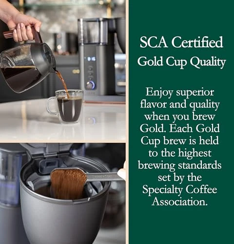 Specialty Drip Coffee Maker with 10-Cup Glass Carafe — Coffee Makers, Café