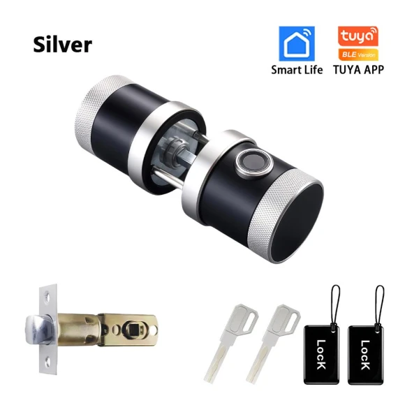 Smart Lock with Fingerprint, Keypad, and Card Access — Biometric Security, RAYKUBE