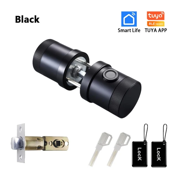 Smart Lock with Fingerprint, Keypad, Smart Card, and App Control — Electromagnetic Security Locks, RAYKUBE