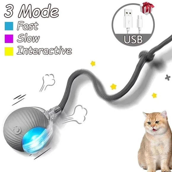 Interactive Ball Toy for Cats — Balls, Aura Living