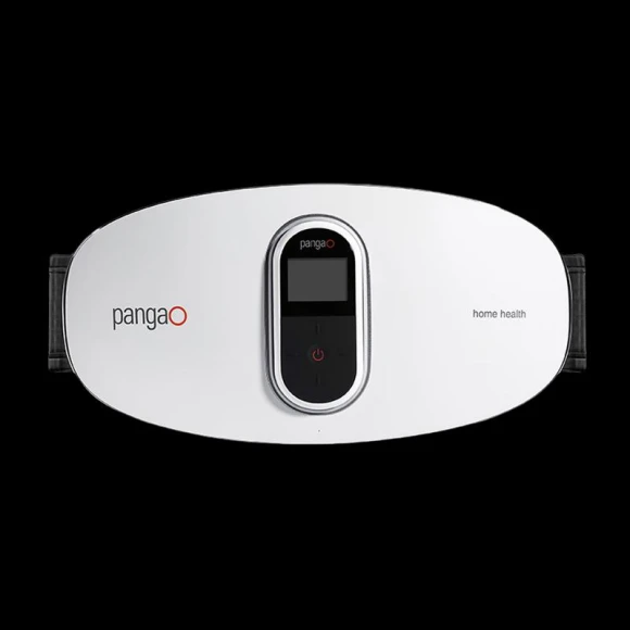 Smart M-Frequency Moxibustion Waist Massager — Back Relief Solutions, Pangao