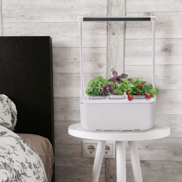 Smart Garden — Growing Lamps, Назад к истокам