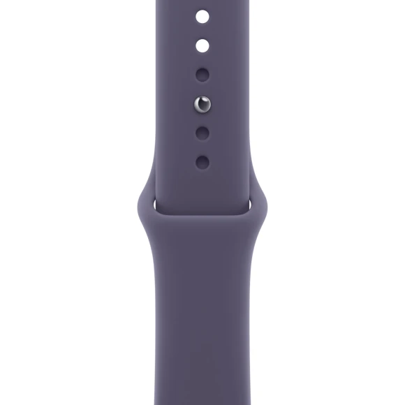 Smartwatch — Smartwatches, Apple