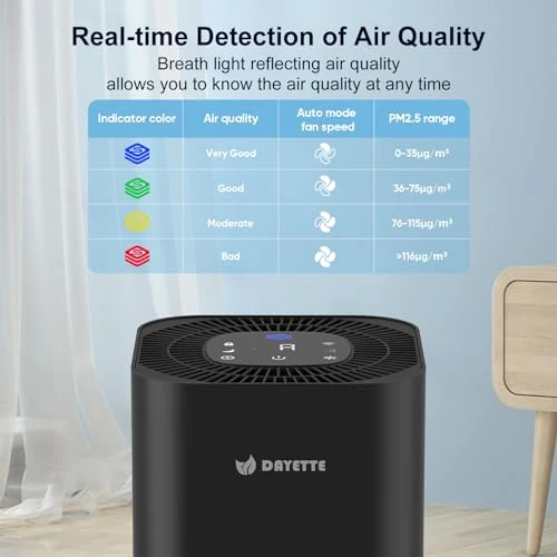 Air Purifier for Home and Bedroom — Activated Carbon Air Purifiers, DAYETTE