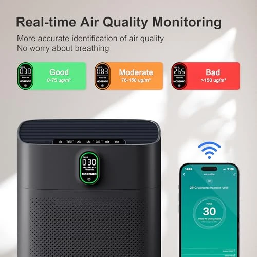 Air Purifier for Large Rooms — Activated Carbon Air Purifiers, MORENTO