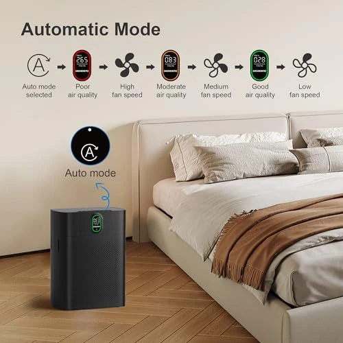Air Purifier for Large Rooms — Activated Carbon Air Purifiers, MORENTO
