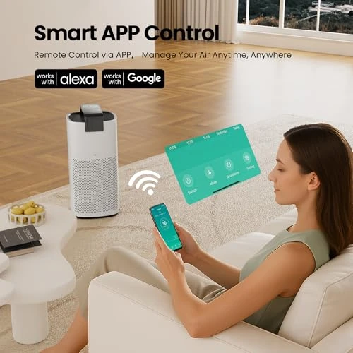 Air Purifier for Large Rooms — Activated Carbon Air Purifiers, MERONTE