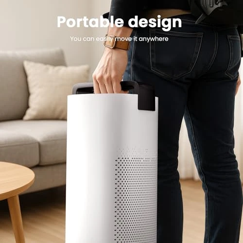 Air Purifier for Large Rooms — Activated Carbon Air Purifiers, MERONTE