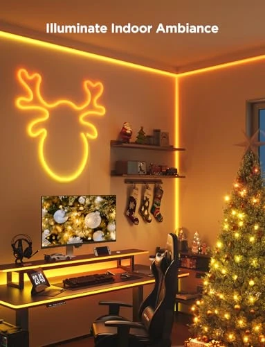 RGBIC Neon Rope Light — Rope Lights, Govee