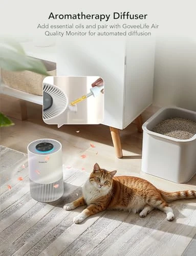 Smart Air Purifier for Bedroom — Portable Air Purifiers, GoveeLife