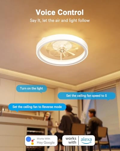 Smart Ceiling Fan with Light — Ceiling Fan Lighting Solutions, Lumary