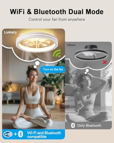 Smart Ceiling Fan with Light — Ceiling Fan Lighting Solutions, Lumary