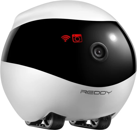 Smart Companion Robot — Security & Surveillance Robots, Red Solution