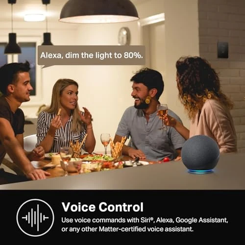 Smart Dimmer Switch — Dimmer Switches, Kasa Smart