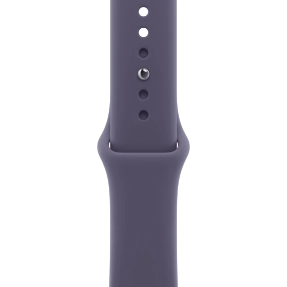 Smartwatch with Health Tracking — Smartwatches, Apple