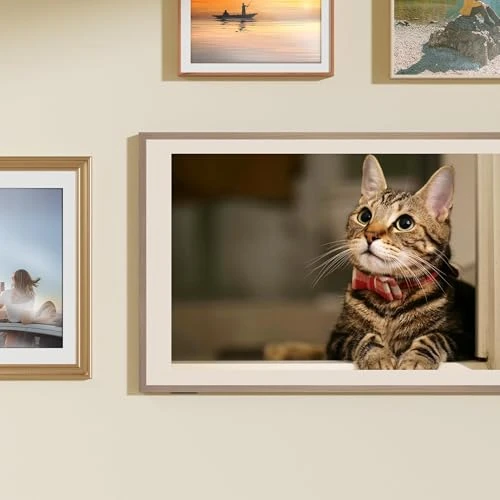 55-Inch QLED 4K Smart TV — Television, Hisense