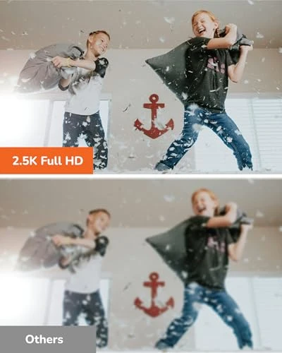 Indoor Pan-Tilt Dome Security Camera (2-Pack) — Dome Surveillance Cameras, Sensforge