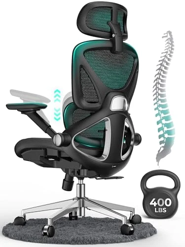 Ergonomic Mesh Office Chair — Desk Chairs, CAPOT