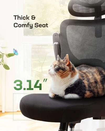 Ergonomic Office Chair with High Back Mesh and Adjustable Lumbar Support — Desk Chairs, Marsail