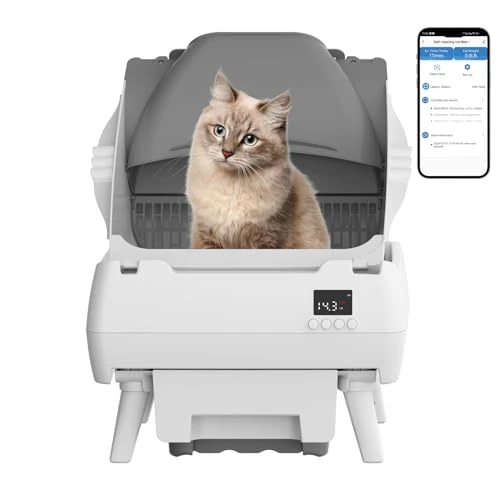 Automatic Cat Litter Box Self Cleaning — Waste Bins, Lohhuby