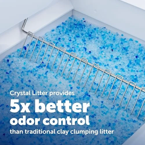 Automatic Self-Cleaning Cat Litter Box System — Self-Cleaning, PetSafe