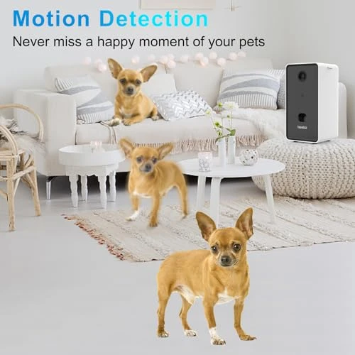Pet Camera Treat Dispenser — Cameras & Monitors, Iseebiz