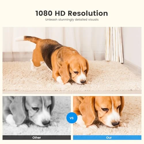 Pet Camera Treat Dispenser — Cameras & Monitors, Gardner Pet