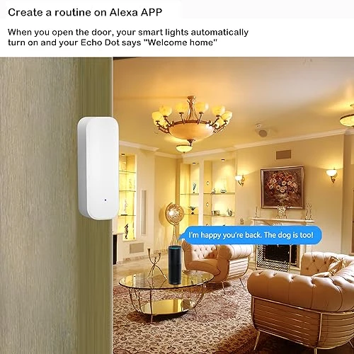 Door and Window Sensor — Smart Home Security, PHOVOLT