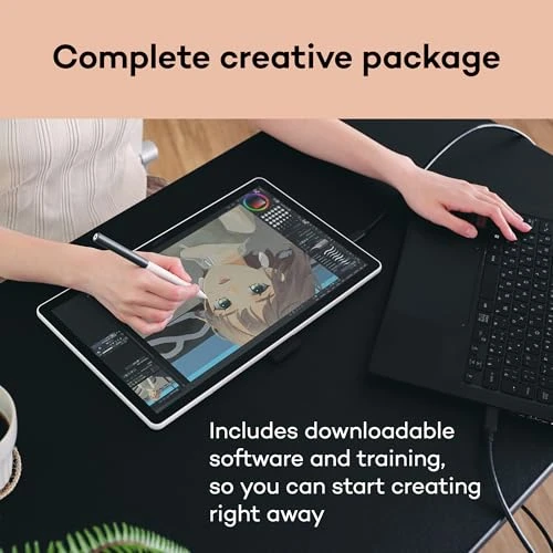 Drawing Tablet with Screen — Styluses & Digital Pens, Wacom