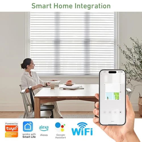 Main Power Voltage Blinds Motor with Smart Plug — Smart Home Modules, Rollerhouse