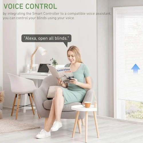Main Power Voltage Blinds Motor with Smart Plug — Smart Home Modules, Rollerhouse