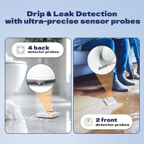 Smart Water Leak Detector — Water Leak Detection Systems, Baldr