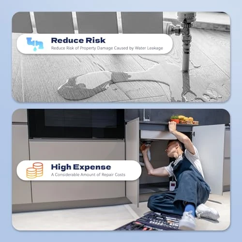 Smart Water Leak Detector — Water Leak Detection Systems, Baldr