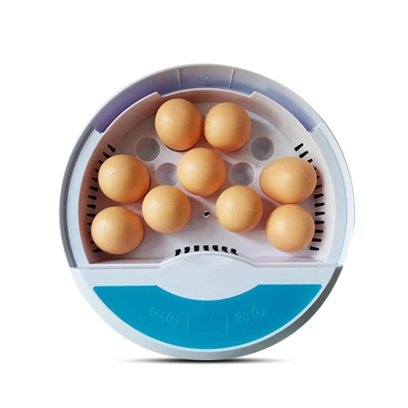 Egg Incubator with Temperature Display — Egg Trays, TOMTOP JMS