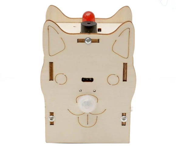 Human Body Detection Sensor DIY Educational Toy — Science Kits, StrideWear