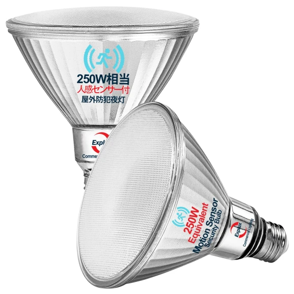 LED High Beam Bulbs with Motion and Light Sensors — Outdoor Security & Flood Lighting, Explux