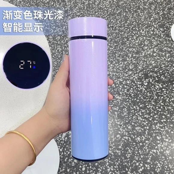 Smart Thermos with LED Temperature Display — Thermoses, Binchi Fitness