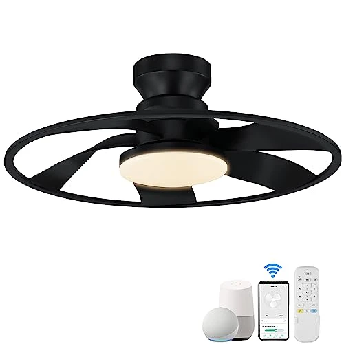Smart Low Profile Ceiling Fan with Lights — Ceiling Fans, Hoenofly