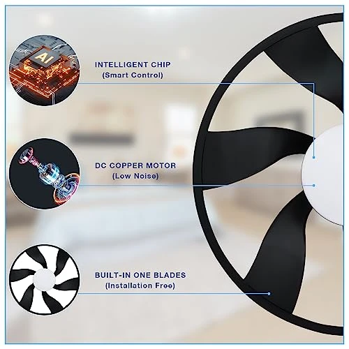 Smart Low Profile Ceiling Fan with Lights — Ceiling Fans, Hoenofly