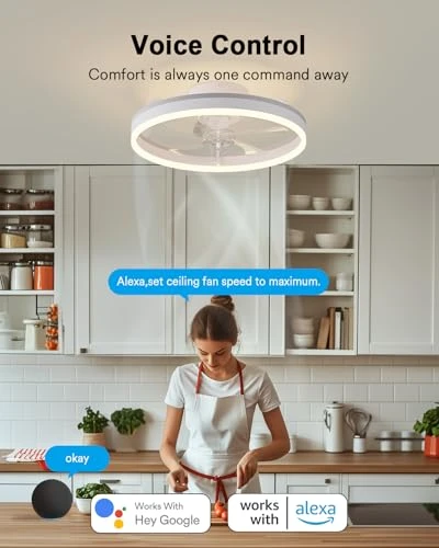 Smart WiFi Ceiling Fan with Lights — Ceiling Fans, Lumary