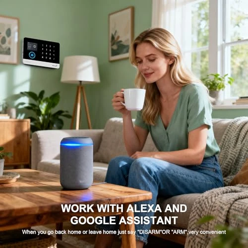 Wireless Home Alarm Camera System — Smart Home Security, LWOHSI