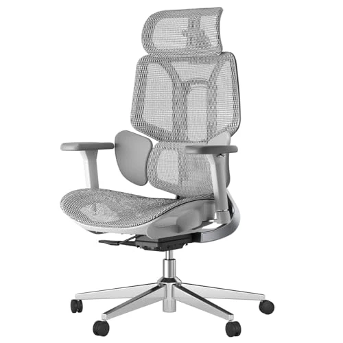 Ergonomic Office Chair — Desk Chairs, Hbada