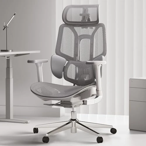 Ergonomic Office Chair — Desk Chairs, Hbada