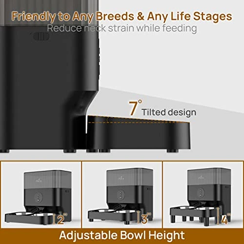 Automatic WiFi Pet Feeder for 2 Pets — Automatic Feeders, iPettie