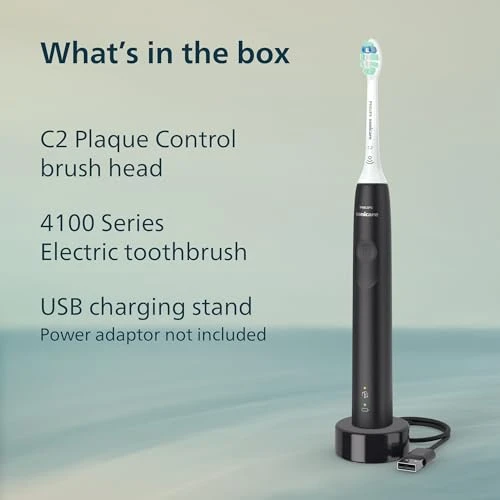 Electric Toothbrush — Traditional Toothbrushes, Philips