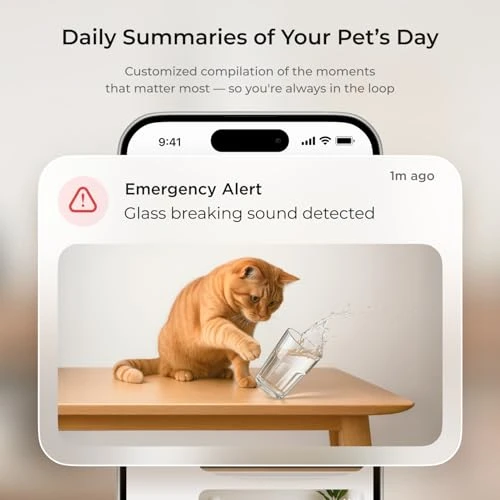 Interactive WiFi Pet and Home Security Pan-Tilt Camera — Cameras & Monitors, Petcube