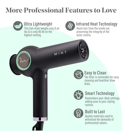 Ionic Hair Dryer with Diffuser — Dryers & Accessories, MINT