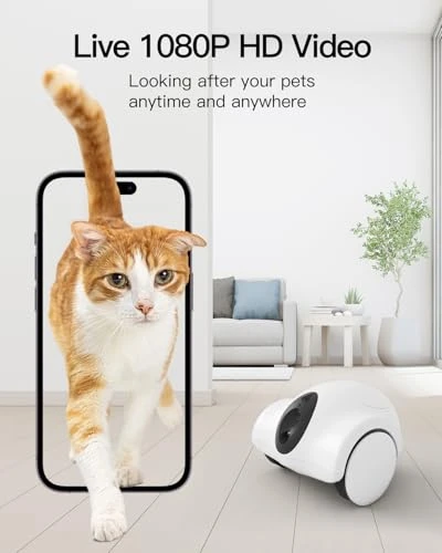 Pet Camera with Phone App — Cameras & Monitors, GULIGULI
