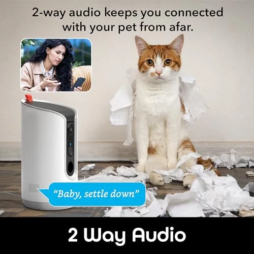 Pet Treat Dispenser with Camera — Automatic Feeders, Geeni