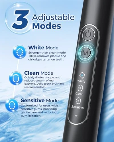 Rotating Electric Toothbrush for Adults with 8 Brush Heads — Sonic Electric Toothbrushes, TEETHEORY